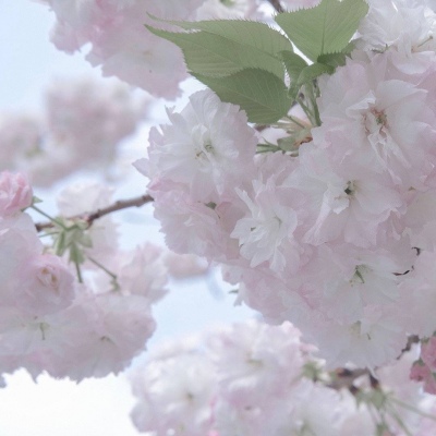 黄陵FurryQQ群介绍